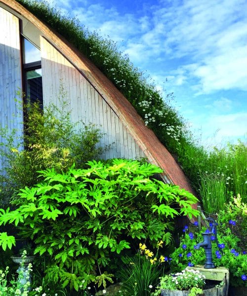 The living roof in full bloom at Crossway, a PPS 7, energy efficient Passivhaus. Designed by Hawkes Architecture and featured on Channel 4's Grand Designs.