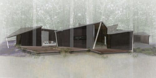 House in the Woods, a new build designed by Hawkes Architecture.