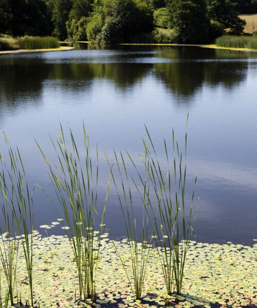 The Pond at Lake House, a Para 79 energy efficient passive house. Another grand design by Hawkes Architecture.