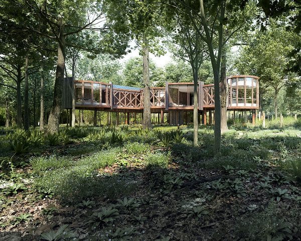 View through the trees at Tree House, a Para 55 energy efficient passive house. Another grand design by Hawkes Architecture.