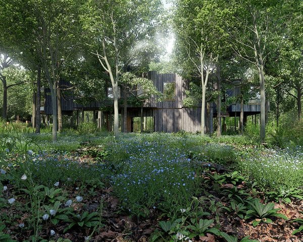 Garden view of Tree House, a Para 55 energy efficient passive house. Another grand design by Hawkes Architecture.