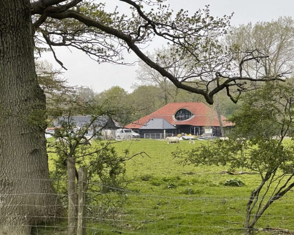 Garden view of Benenden Barn, a Para 80 energy efficient, passive house. Another grand design by Hawkes Architecture.