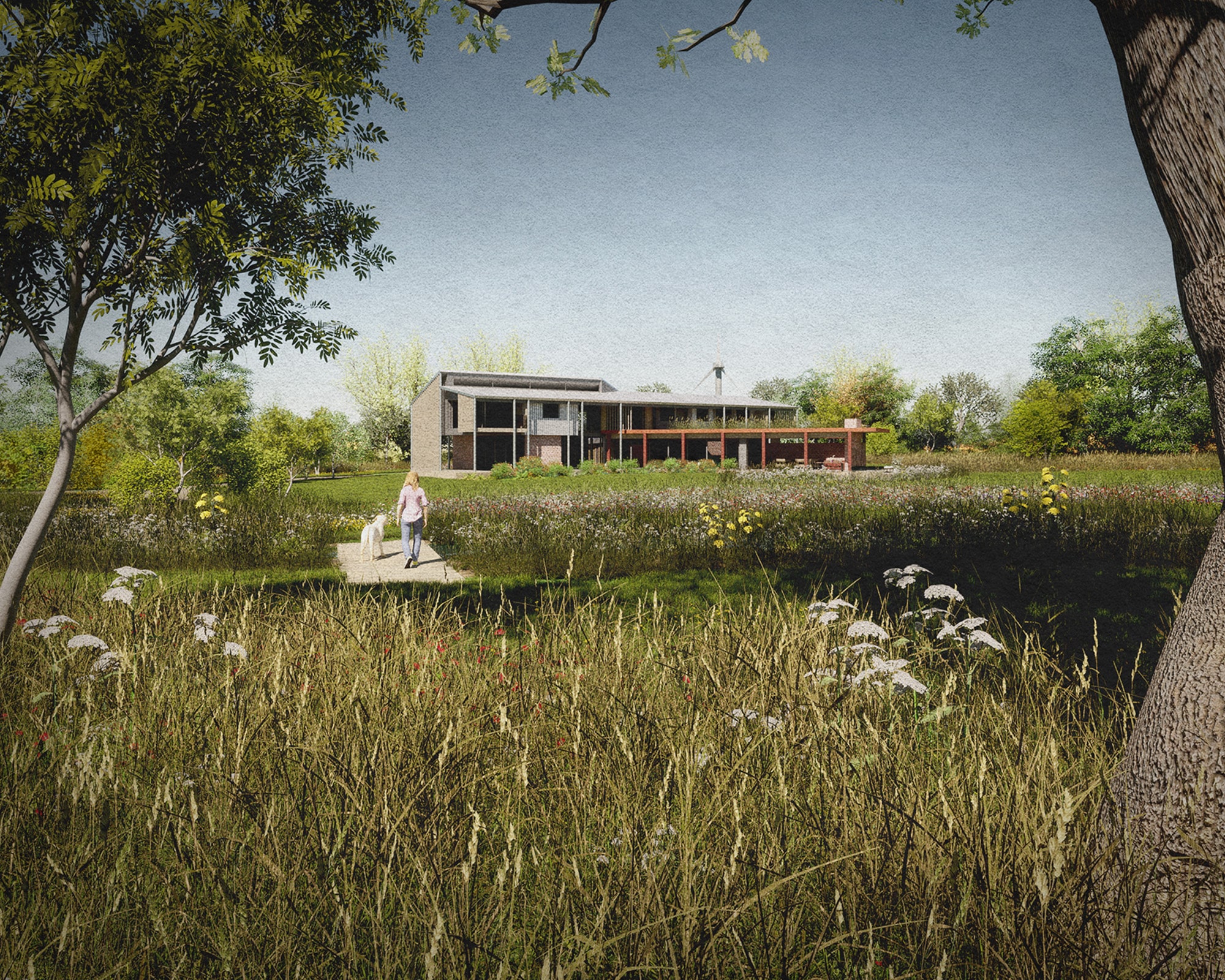 Oak tree view across the meadow at Flybarn farm, a Para 84 energy efficient passive house. Another grand design by Hawkes Architecture.